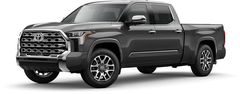 2022 Toyota Tundra 1974 Edition in Magnetic Gray Metallic | Phillips Toyota in Leesburg FL