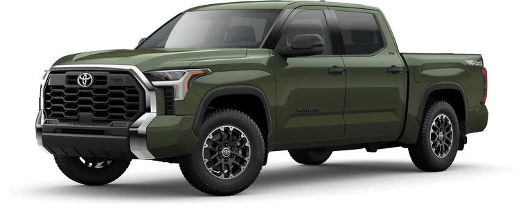2022 Toyota Tundra SR5 in Army Green | Phillips Toyota in Leesburg FL