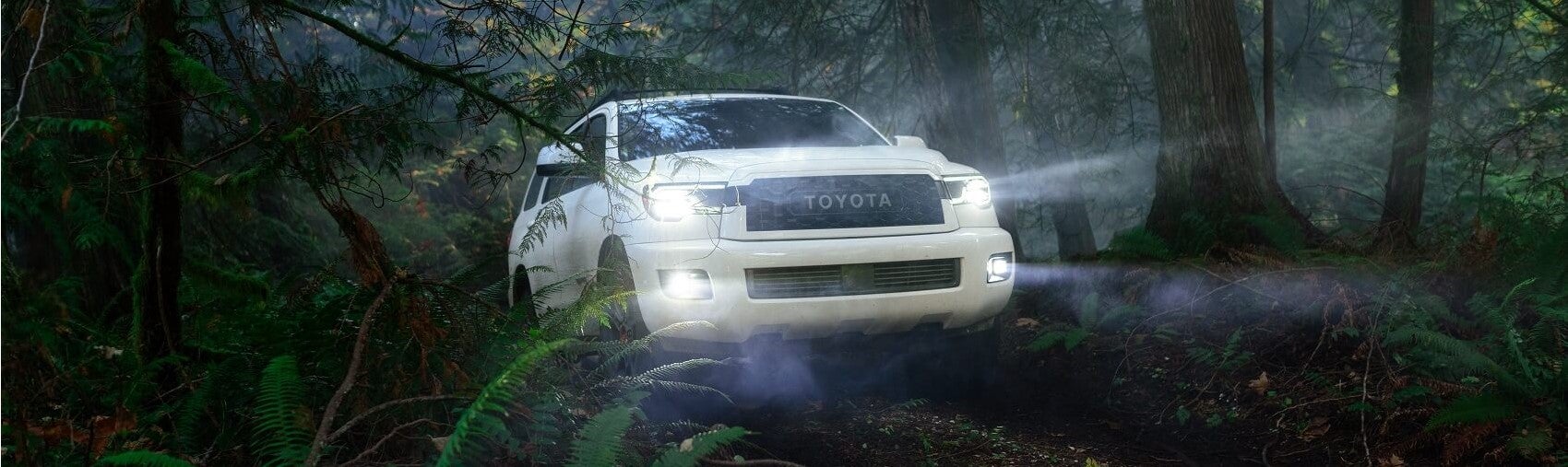 2022 Toyota Sequoia in Forest