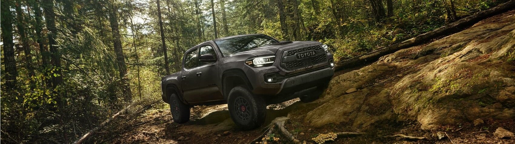 2022 Toyota Tacoma TRD Pro Snippet