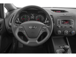 2015 Kia Forte EX