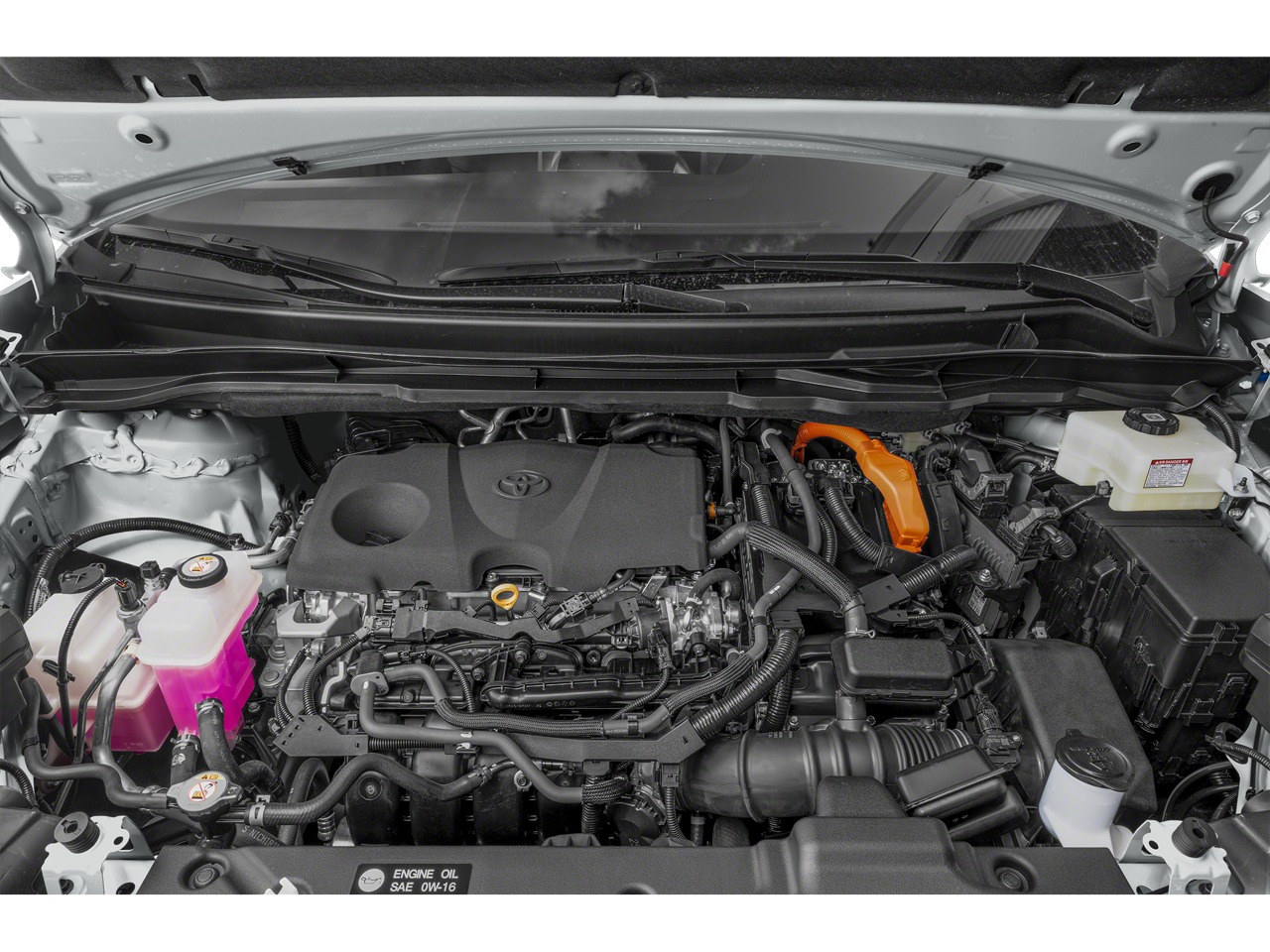 2023 Toyota Sienna Woodland Edition