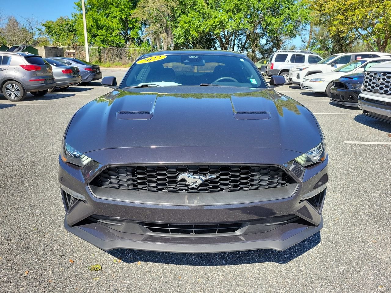 2022 Ford Mustang EcoBoost