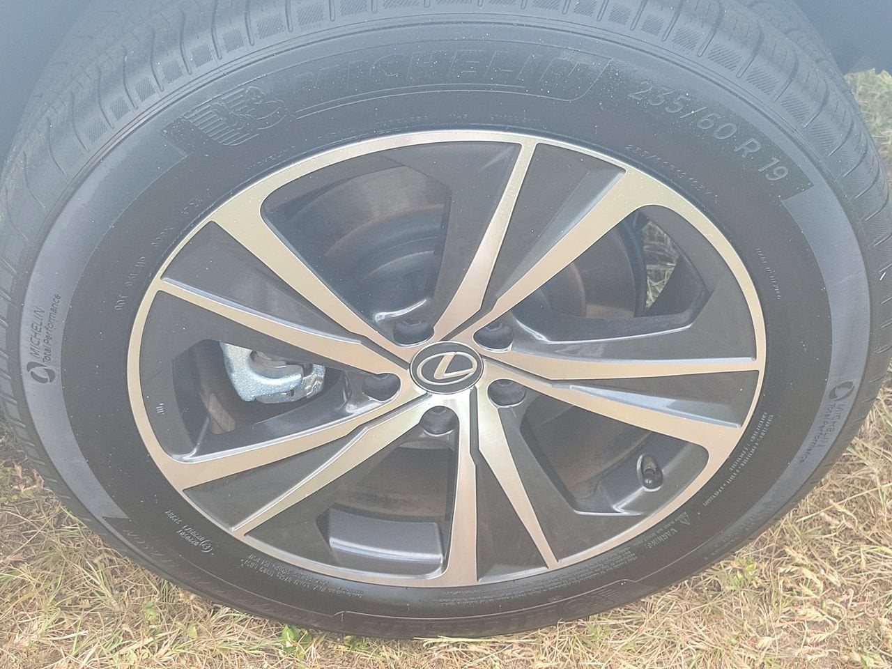 2025 Lexus RX 350h Premium