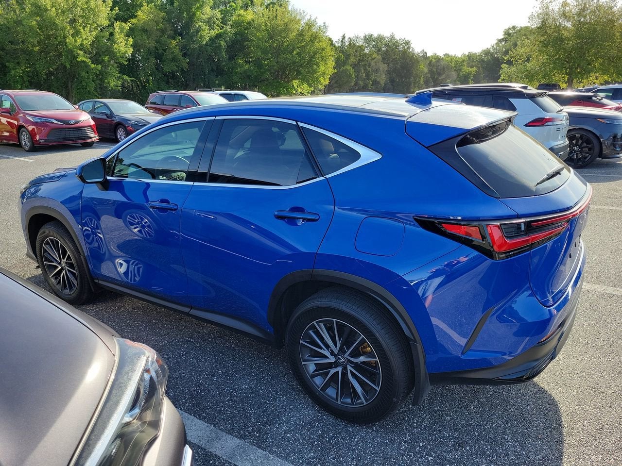 2025 Lexus NX 350h Luxury