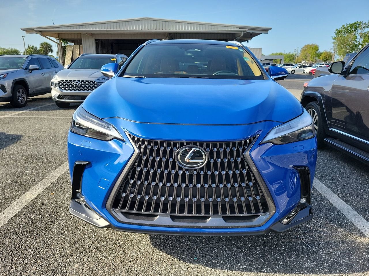 2025 Lexus NX 350h Luxury