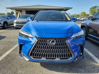 2025 Lexus NX 350h Luxury