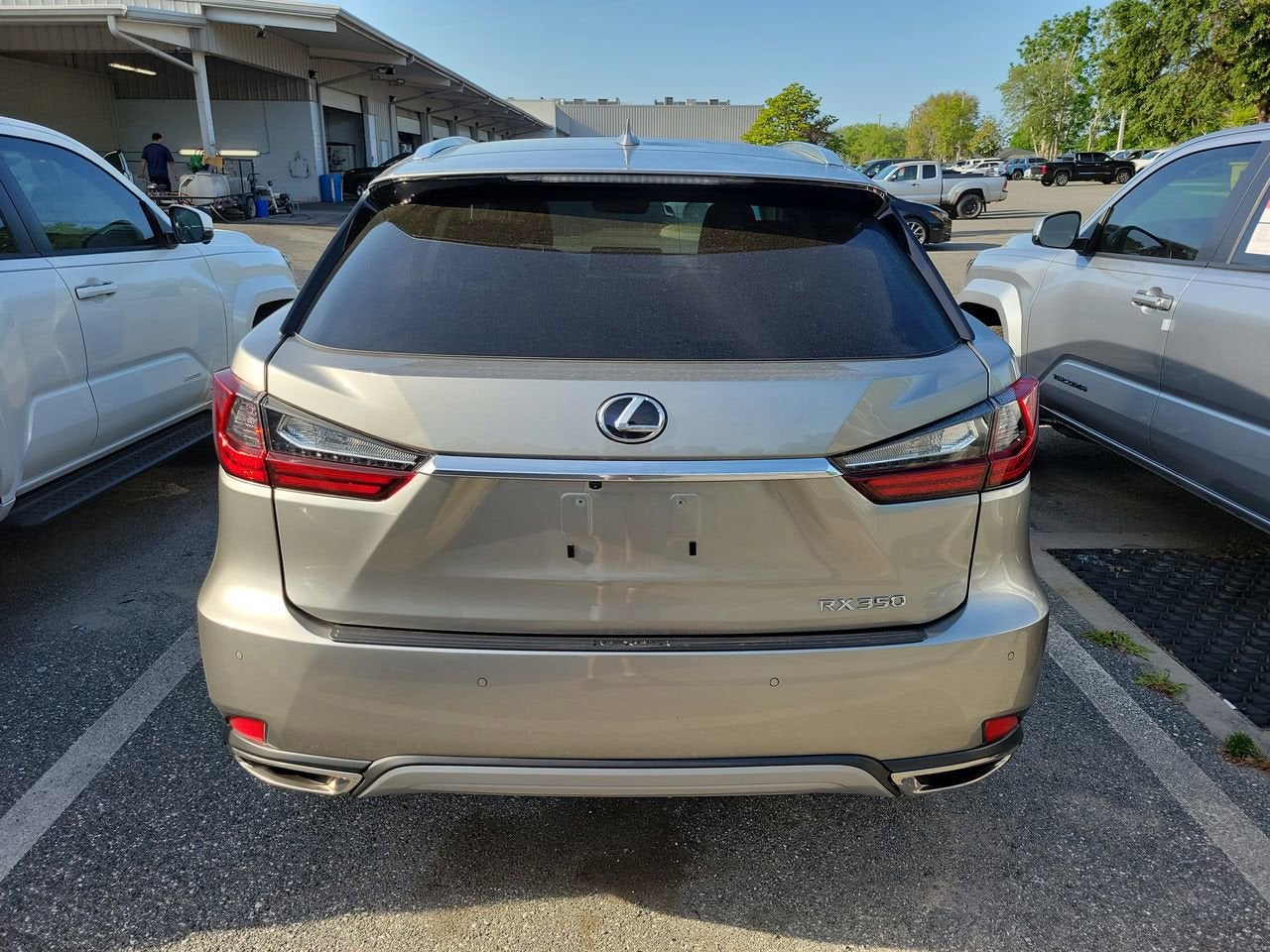 2021 Lexus RX RX 350