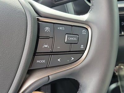 2025 Lexus UX 300h