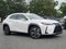 2025 Lexus UX 300h