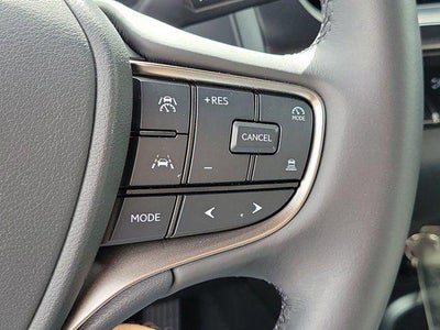 2025 Lexus UX 300h