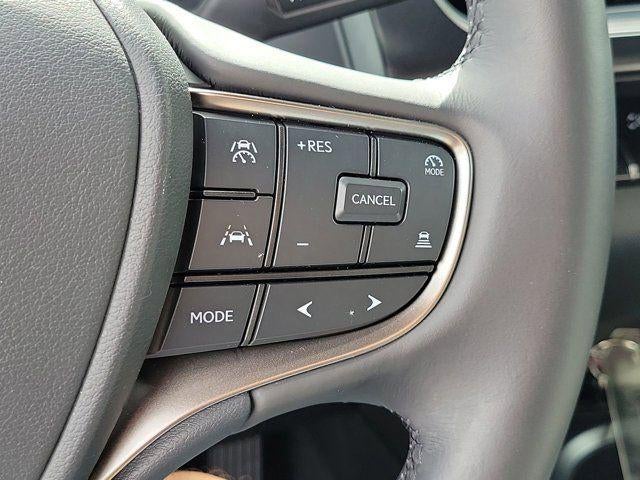 2025 Lexus UX 300h