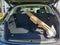 2023 Audi Q5 e S line Premium Plus