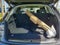 2023 Audi Q5 e S line Premium Plus