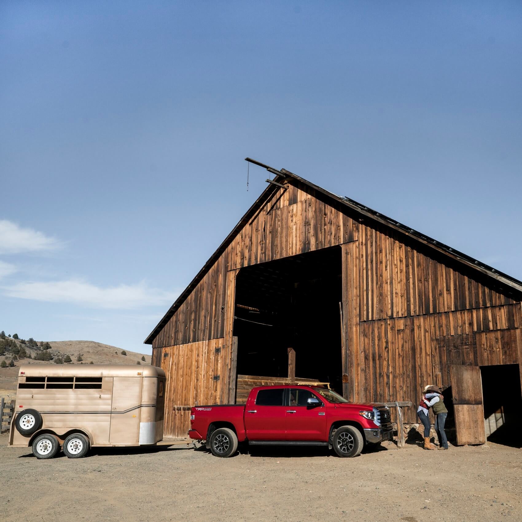 Ocala Florida: The Horse Capital of the World®
