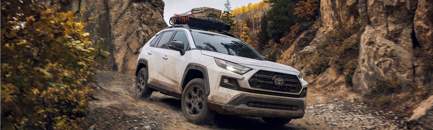 2022 Toyota RAV4 Off Road 1 Snippet