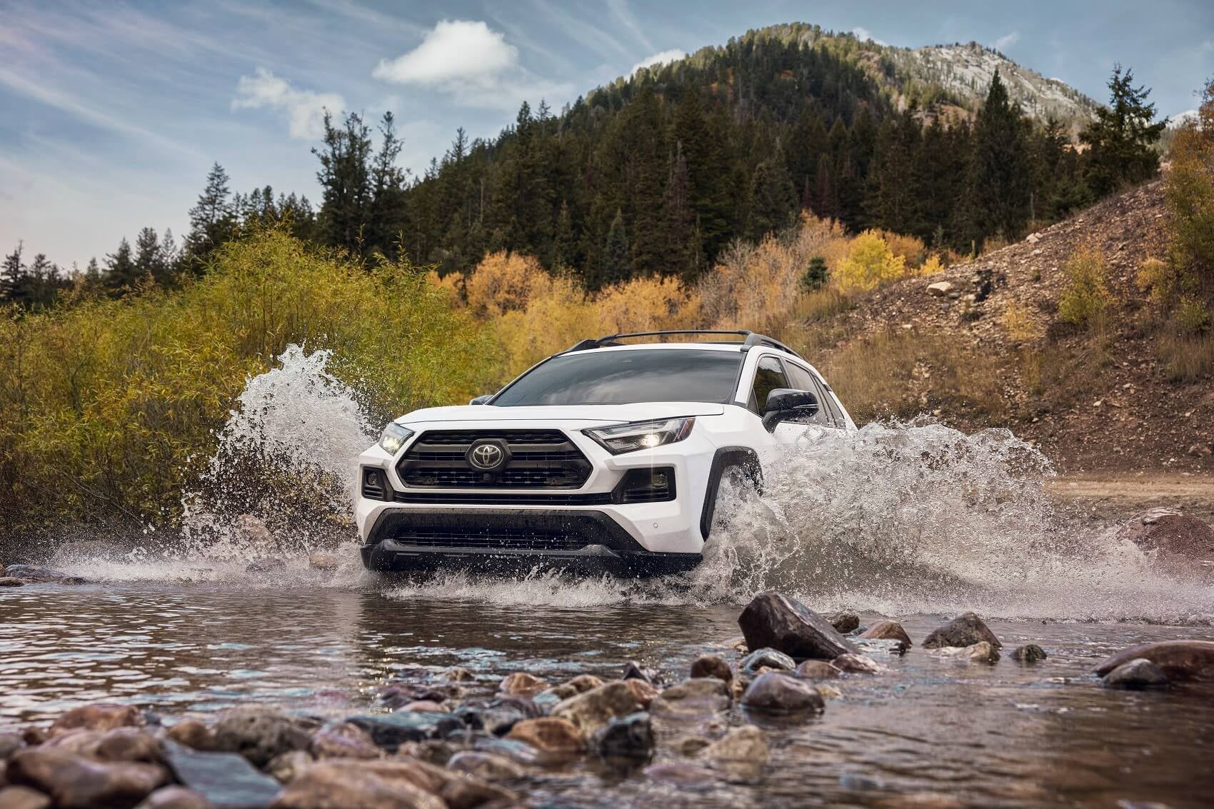 2022 Toyota RAV4 Off Road 2