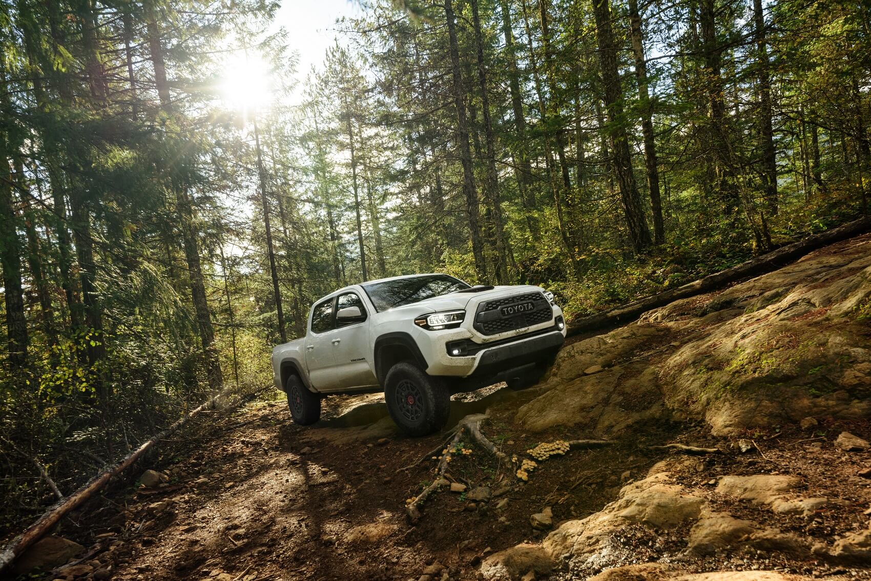 Toyota Tacoma
