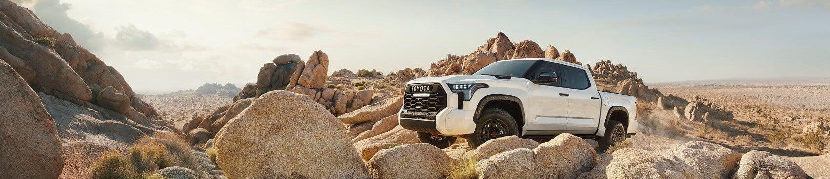 Toyota Tundra Terrain Snipped