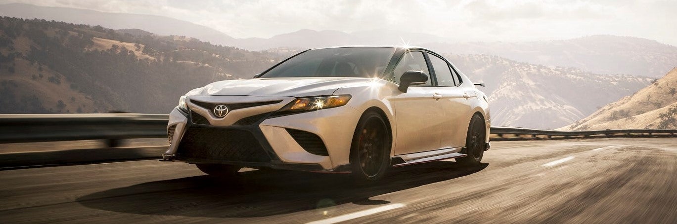 Used Car Dealer Ocala FL