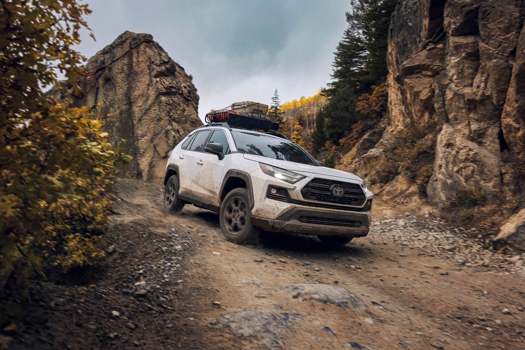 About the Toyota RAV4