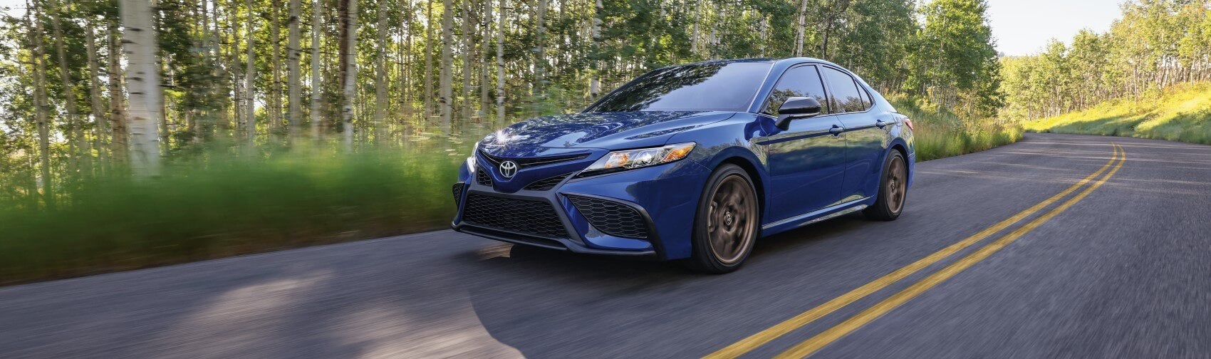 Car Dealership near Leesburg FL