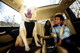 Happy Family in Spacious Toyota SUV - Phillips Toyota