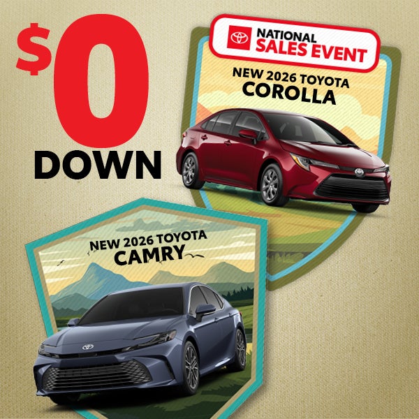 Camry & Corolla